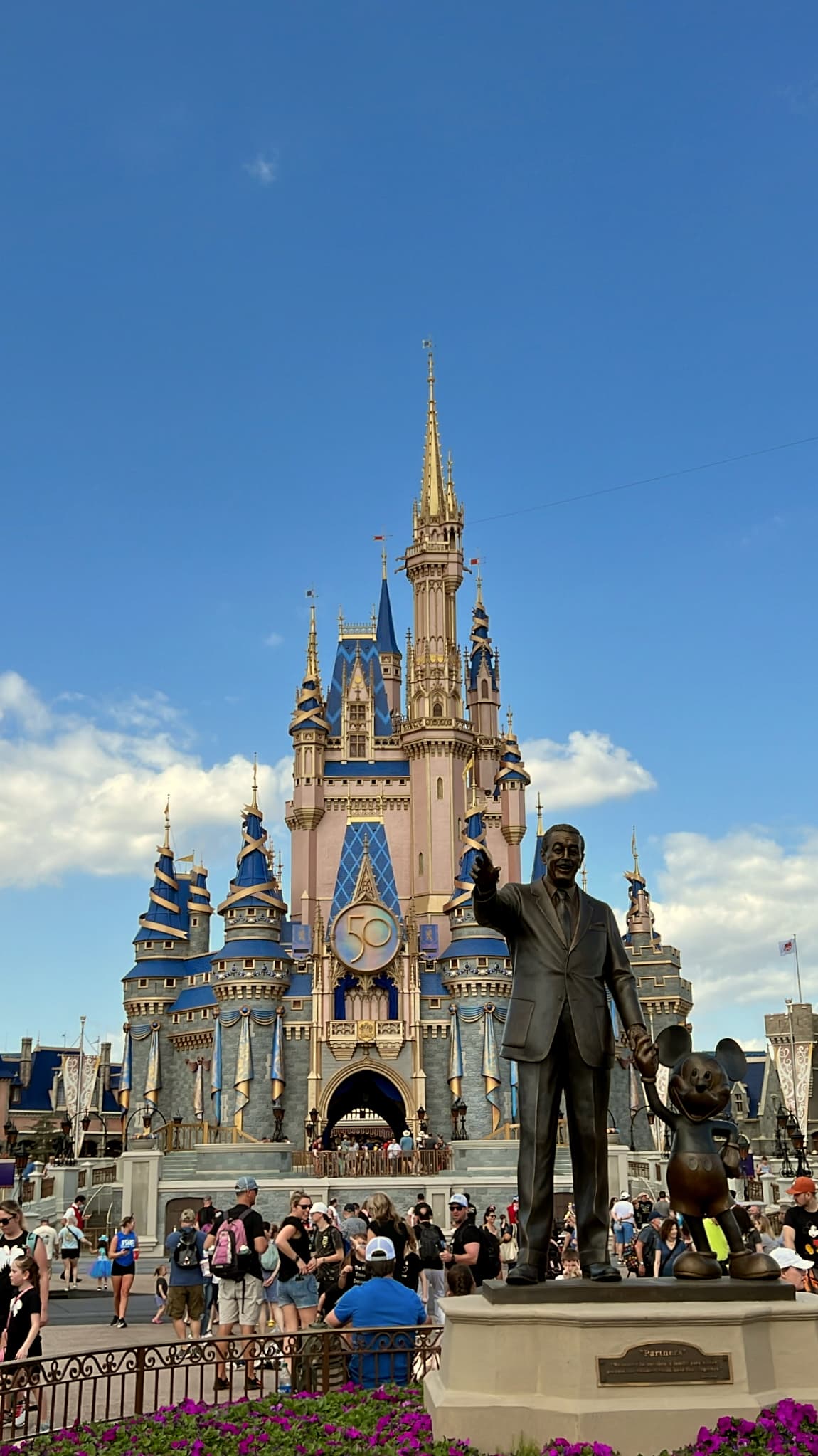 In Defense of Disney Adults