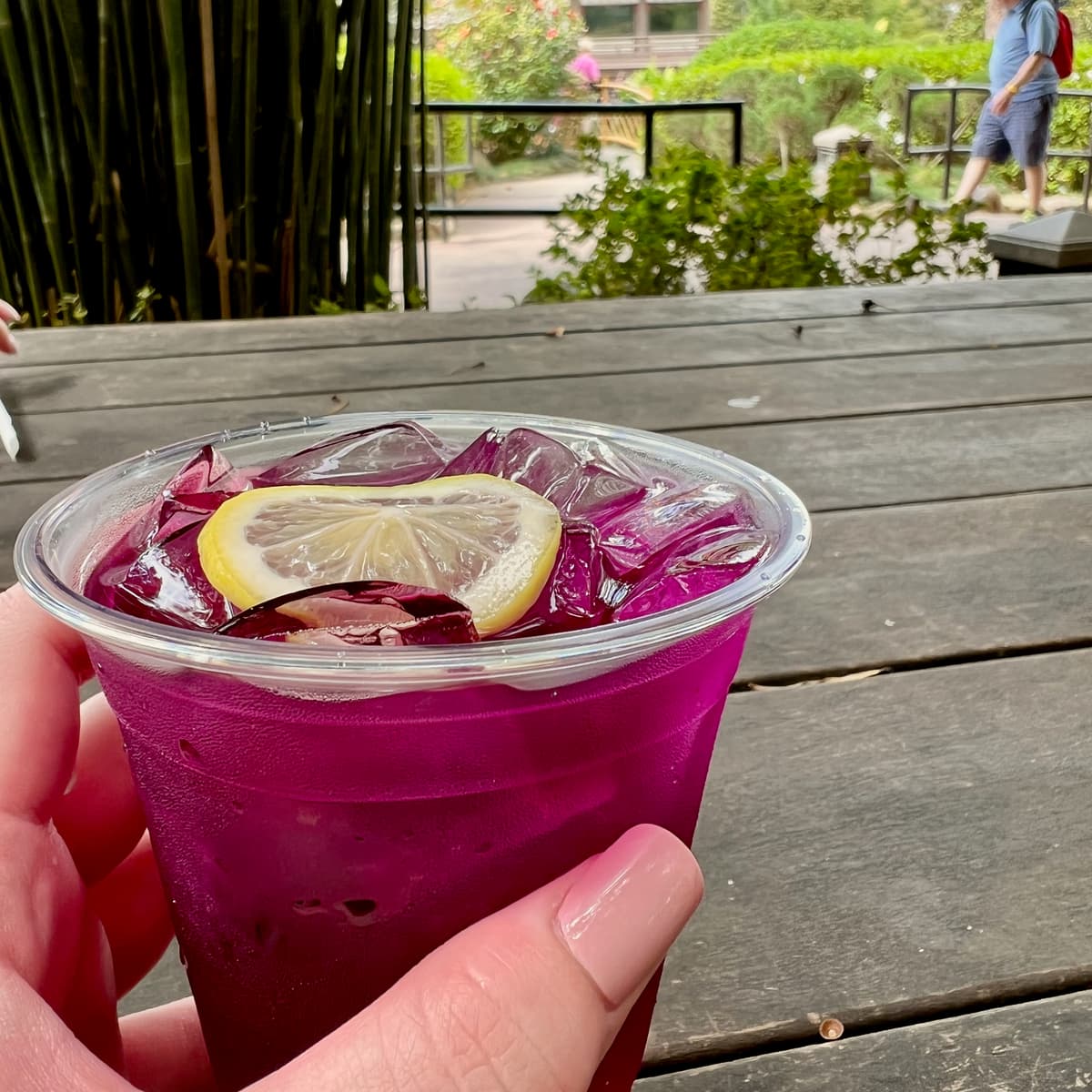 Violet sake from the Japan pavilion at EPCOT World Showcase